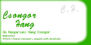 csongor hang business card